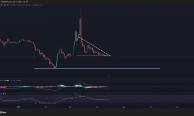 Pi Network price has formed a descending triangle pattern on the daily chart.