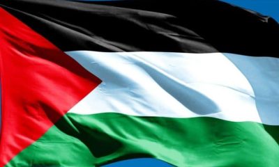 Close image of Palestine flag against blue sky. Pledge for Palestine