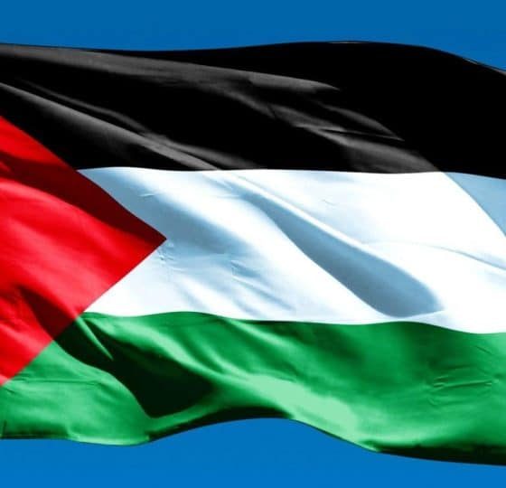 Close image of Palestine flag against blue sky. Pledge for Palestine