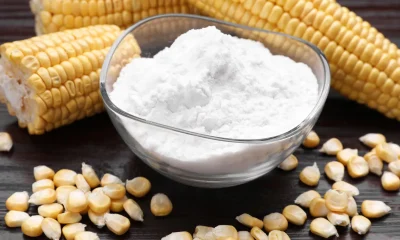 Primient adds fourth business unit