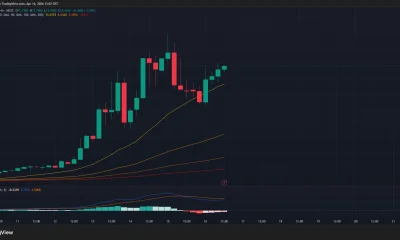 RAVE 4-hour/USDT price chart.