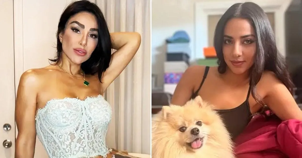 ICE arrest Iran warlord's niece living her best life in Los Angeles | News US