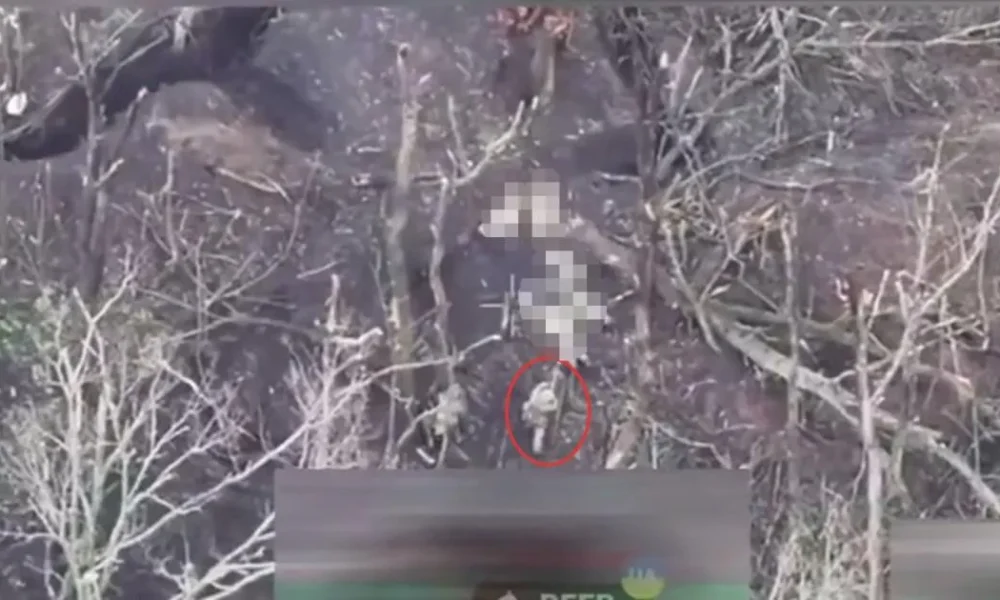 Moment four unarmed Ukrainian prisoners 'executed' by Russian soldiers | News World