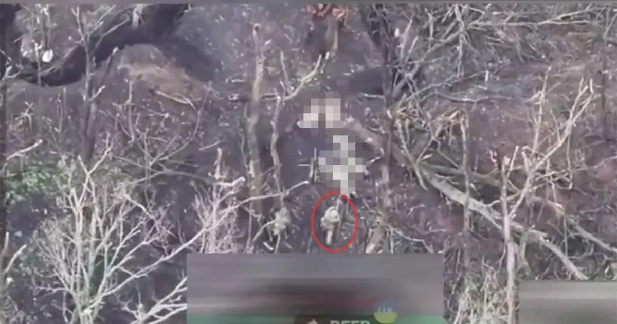 Moment four unarmed Ukrainian prisoners 'executed' by Russian soldiers | News World