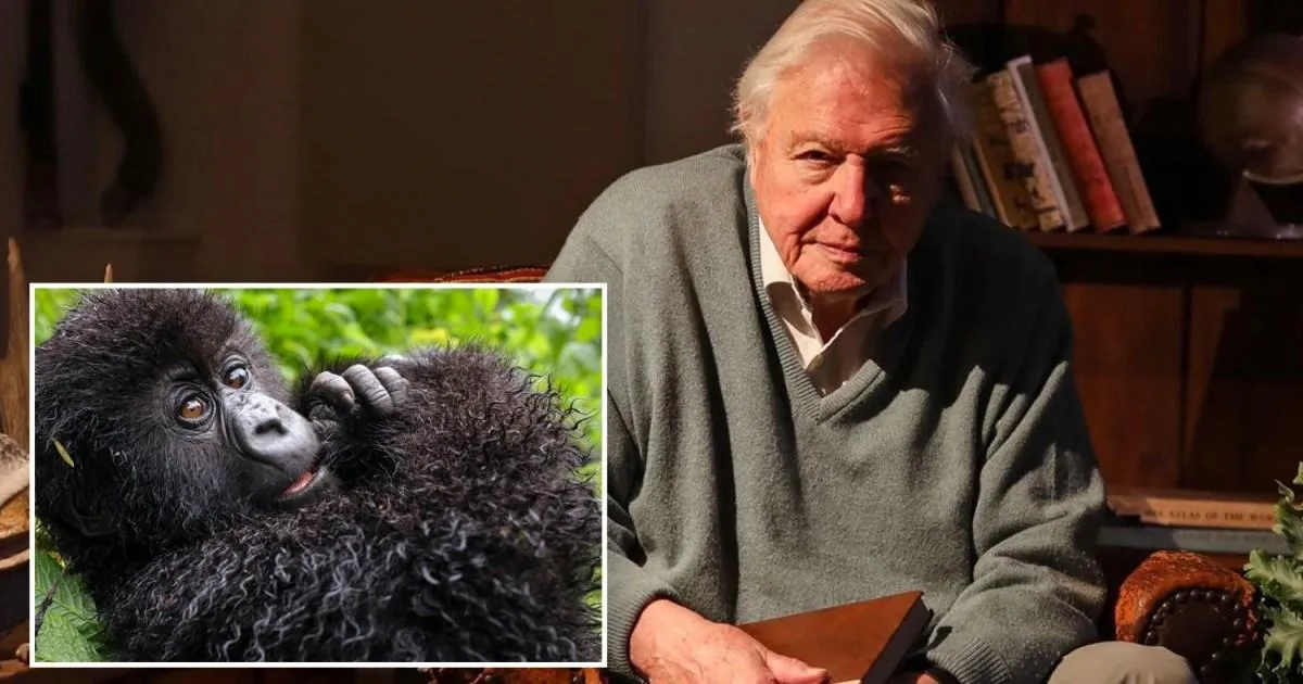 Netflix quietly drops ‘unmissable’ Sir David Attenborough documentary ahead of his 100th birthday