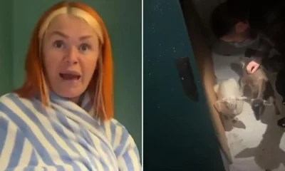 Mum discovers two goats living in her garden shed that her daugther bought her | News UK