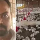 140 chickens die after wedding DJ cranked up the volume during procession | News World