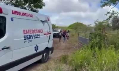 'Killer bee' attack leaves 150 people injured with 50 taken to hospital | News World