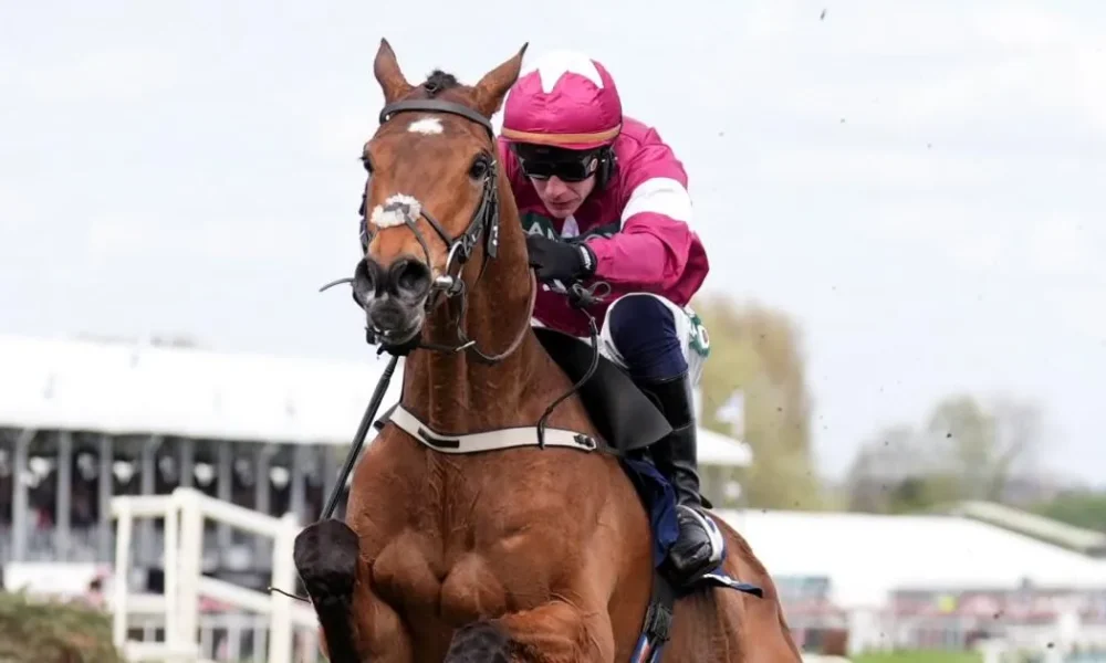 Grand National jockey explains why Gold Dancer was not pulled up after breaking back