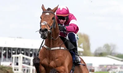 Grand National jockey explains why Gold Dancer was not pulled up after breaking back