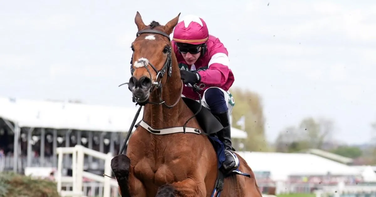 Grand National jockey explains why Gold Dancer was not pulled up after breaking back