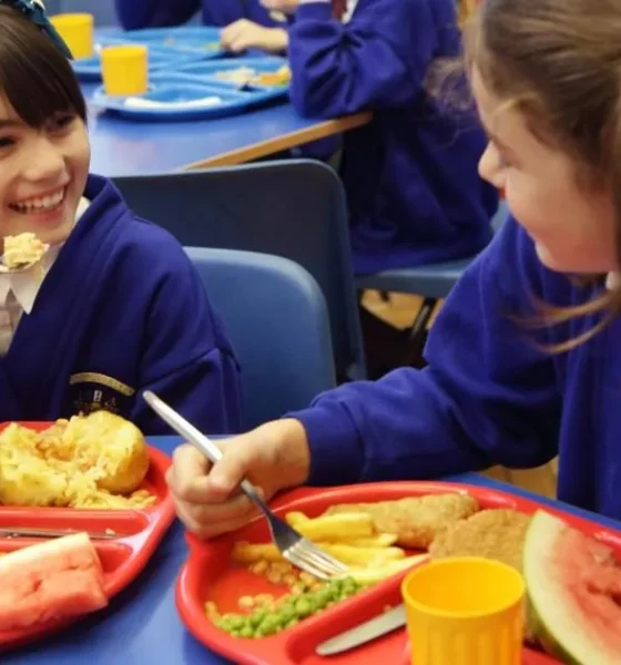 Deep-fried food banned from school menus for good in war against child obesity | News UK