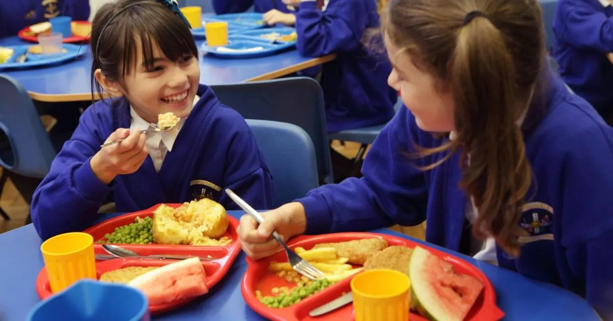 Deep-fried food banned from school menus for good in war against child obesity | News UK