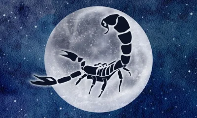 Full Moon in Scorpio, May 2026: Your star sign's tarot horoscope