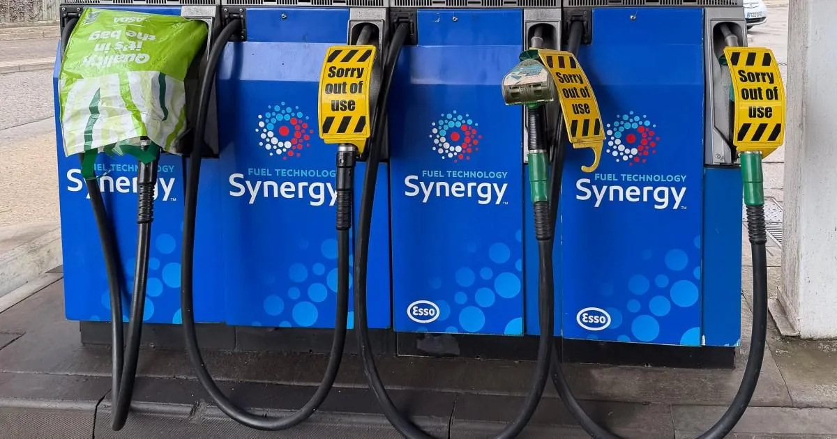 Oil prices hit wartime high - what does that mean for the UK? | News World