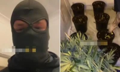 Footage shows 'Albanian crime gang raiding cannabis grow house' | News UK