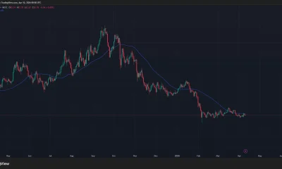 Solana price has dropped below the 50-day SMA on the daily chart.