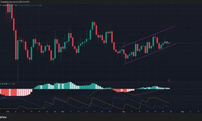 Solana price has formed an ascending parallel channel pattern on the daily chart.