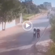 A moment of calm before the car hits the schoolgirls as they walk alongside the empty street during the daytime in Palestine