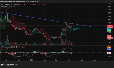 Will Bittensor price drop to $297 as double rejection at descending trendline triggers bearish MACD crossover? - 1