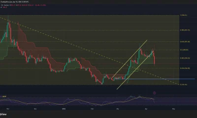 Bittensor price has broken from an ascending parallel channel pattern on the daily chart.