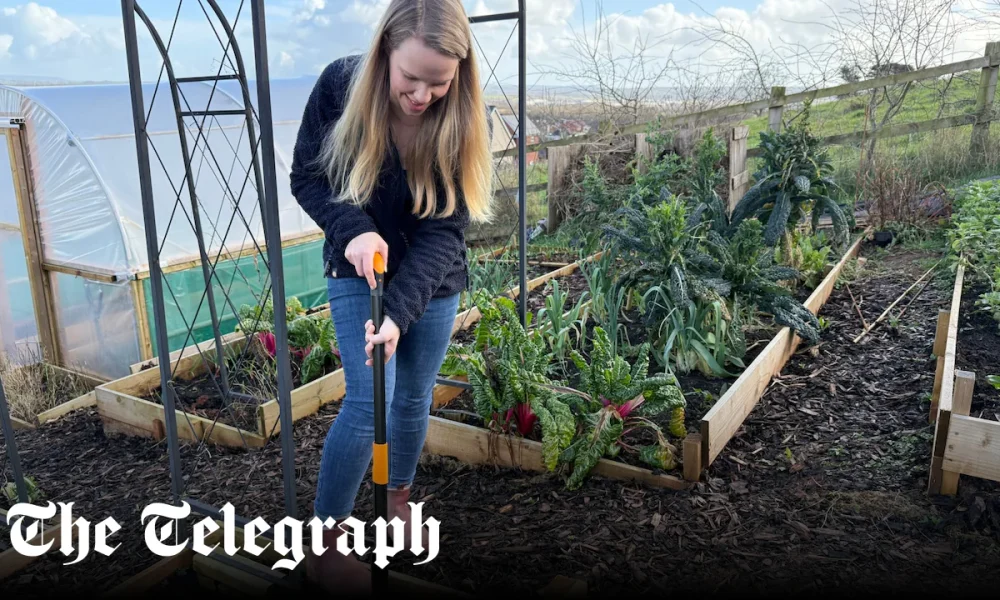 How we test products at Telegraph Recommended