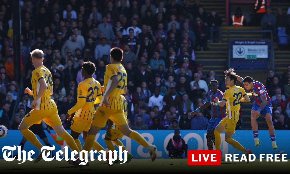 Nine-man Crystal Palace hold off Brighton in chaotic victory