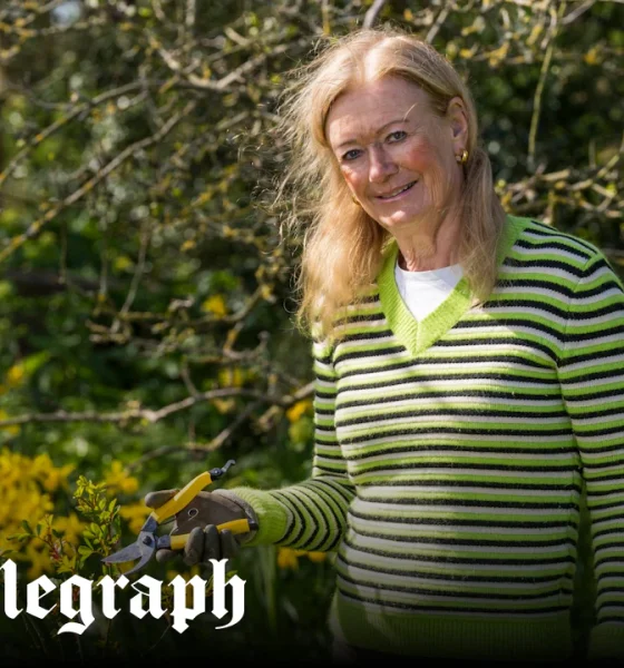 Bunny Guinness: My favourite gardening tools