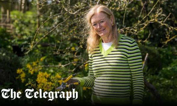 Bunny Guinness: My favourite gardening tools