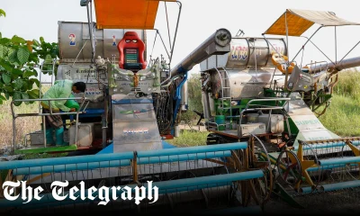 Global food security at ‘a critical level’ as Iran war threatens new shock, UN warns