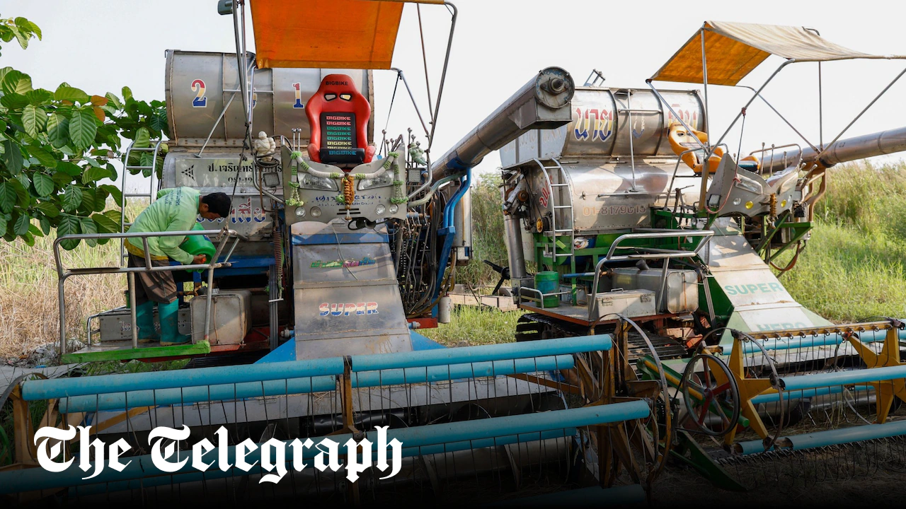 Global food security at ‘a critical level’ as Iran war threatens new shock, UN warns