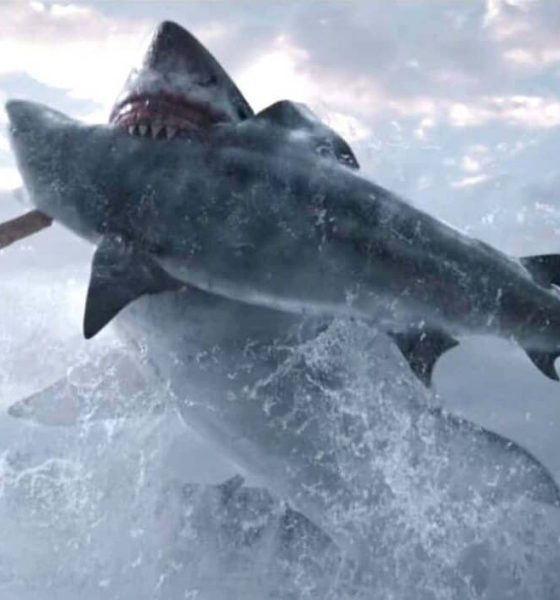 Netflix's New Shark Thriller Will Make You Clean Your House