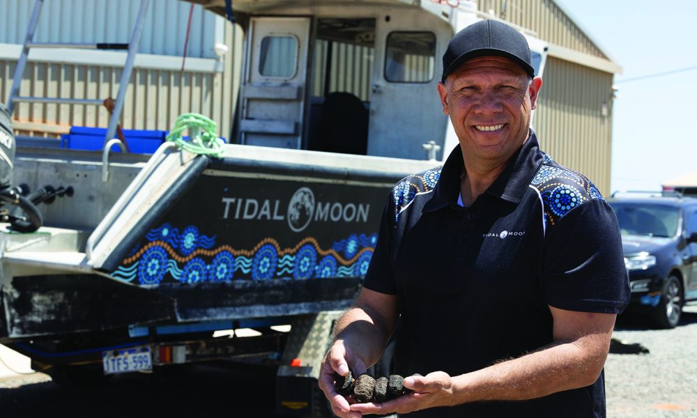 Plan to turn Denham into centre of Australian trepang trade