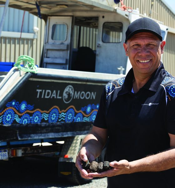 Plan to turn Denham into centre of Australian trepang trade