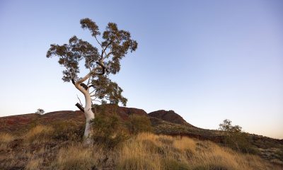 Newman gets $32m for industrial lots