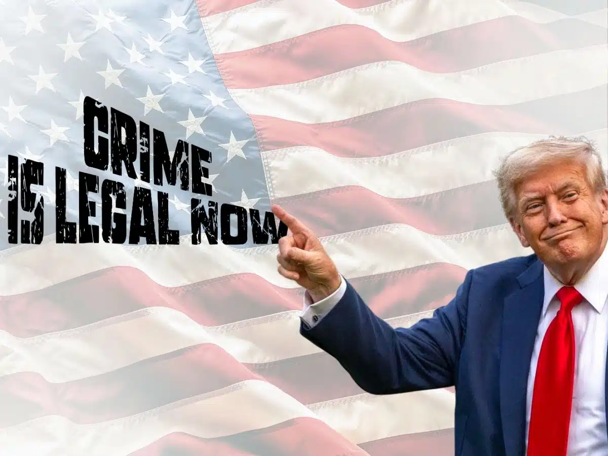 Trump is promising to pardon his loyal stooges