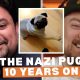 The Nazi pug, 10 years on