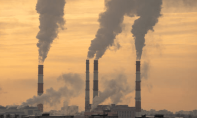 Climate crisis threatens sports revenue