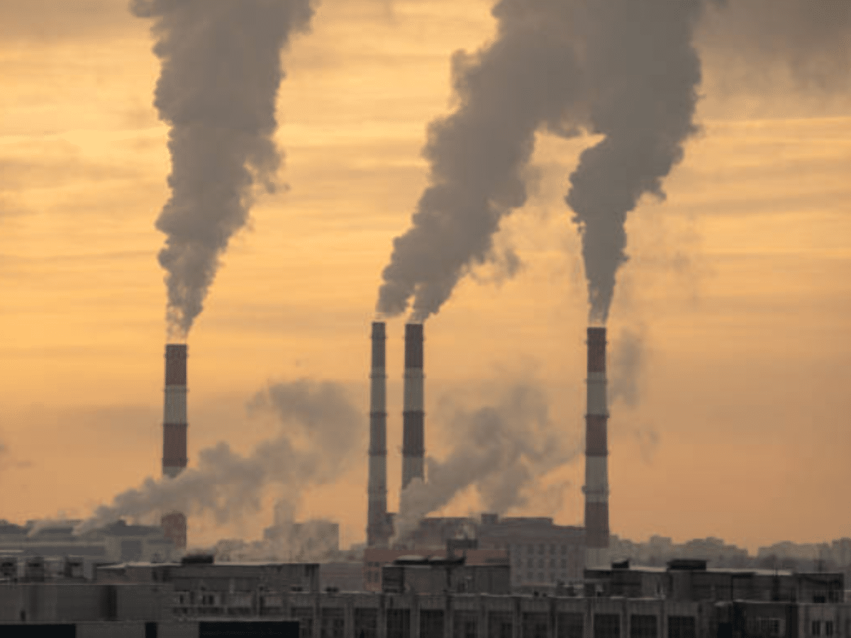 Climate crisis threatens sports revenue