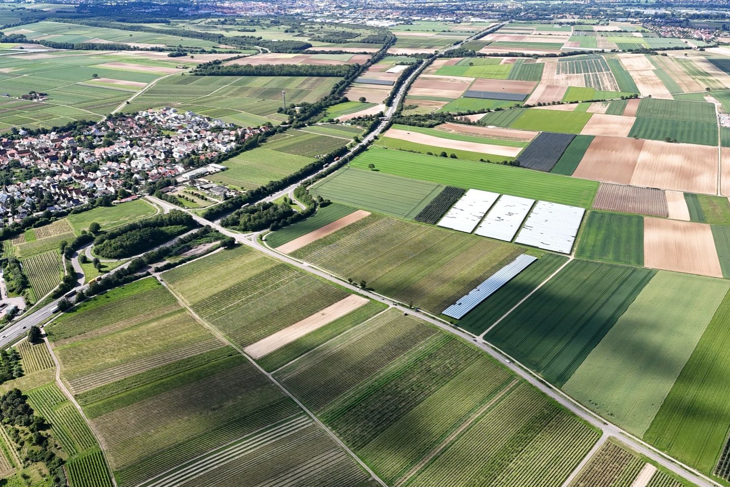 Gina Rinehart-backed Vulcan Energy granted lithium royalty exemption