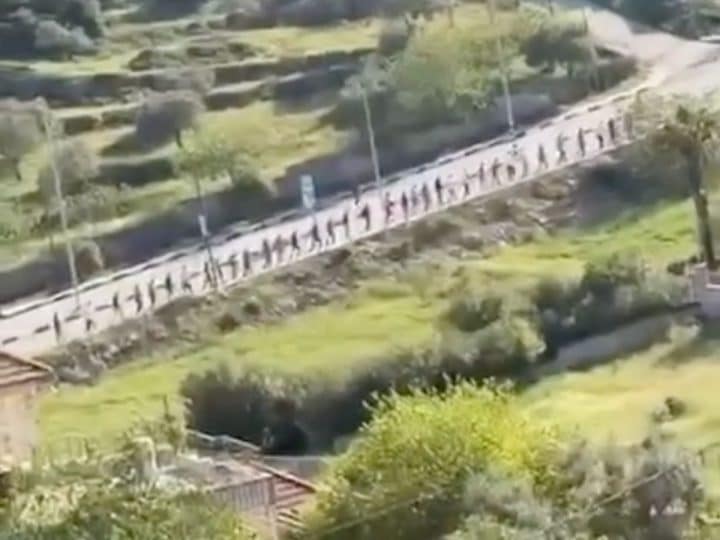 Three Palestinians have been murdered, in just over 24 hours, by illegal Israeli settlers in the occupied West Bank