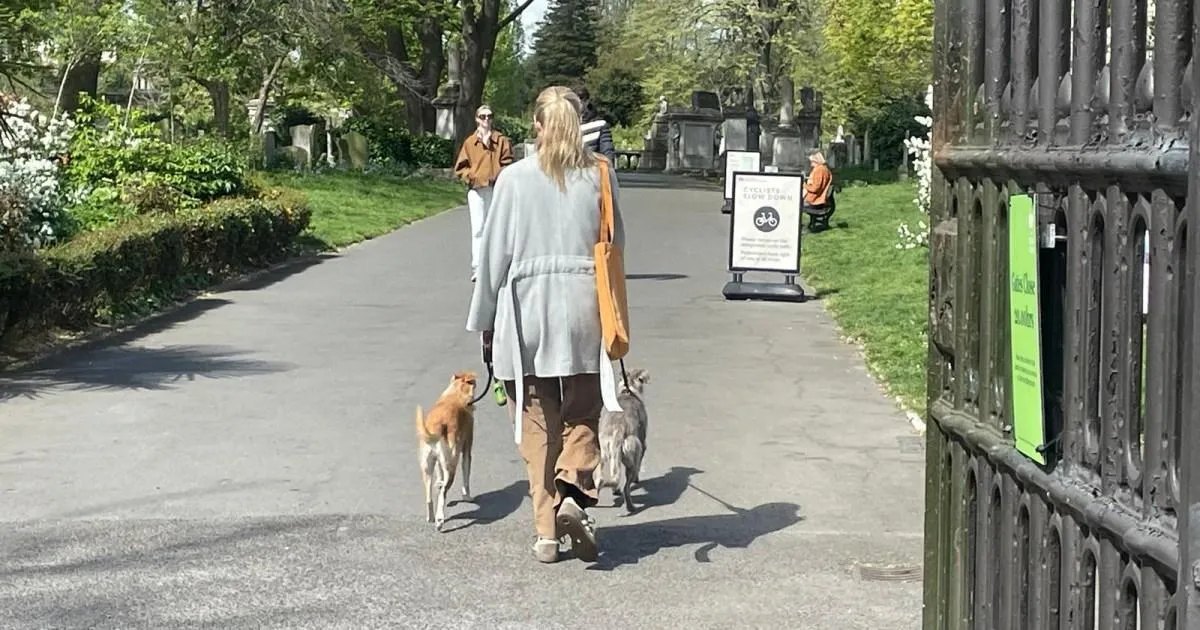 Manhunt launched after mysterious meat which made dogs unwell left in London park | News UK