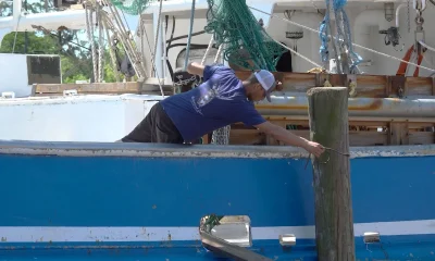 US shrimpers face ‘double whammy’ from soaring fuel costs, tariff refunds