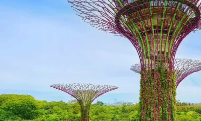 An Introduction to Doing Business in Singapore 2026