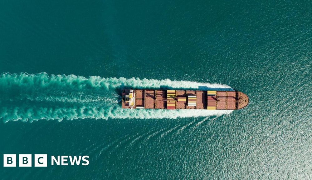 French-owned ship passes through Strait of Hormuz
