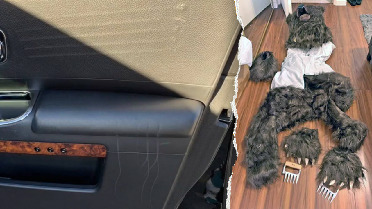 Bear costume scheme nets convictions in California insurance fraud case