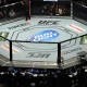 UFC, Bud Light partner for highly-anticipated summer