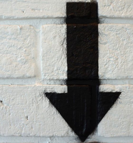 RaveDAO's RAVE token collapses 90% in a day as exchange probes widen