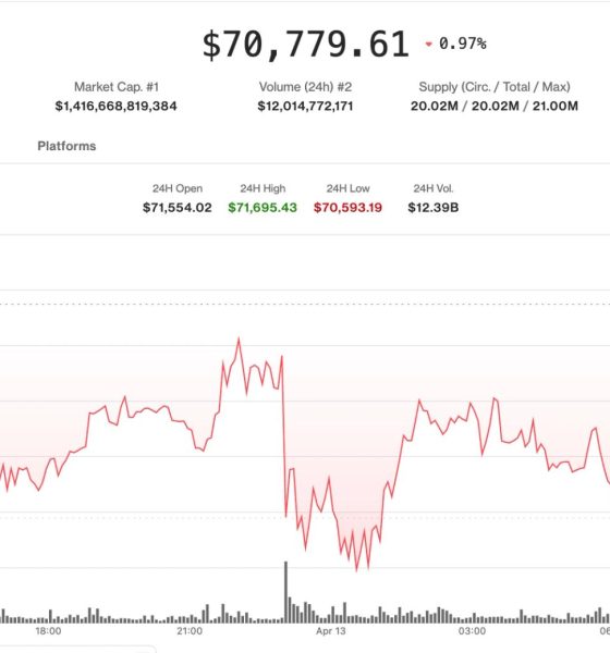 Memecoins outperform as bitcoin traders turn defensive