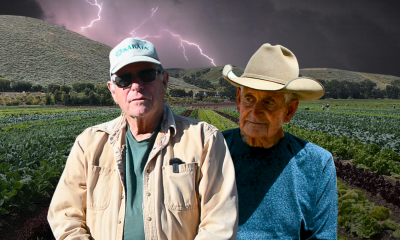 California farmers say high diesel costs and regulations threaten their survival